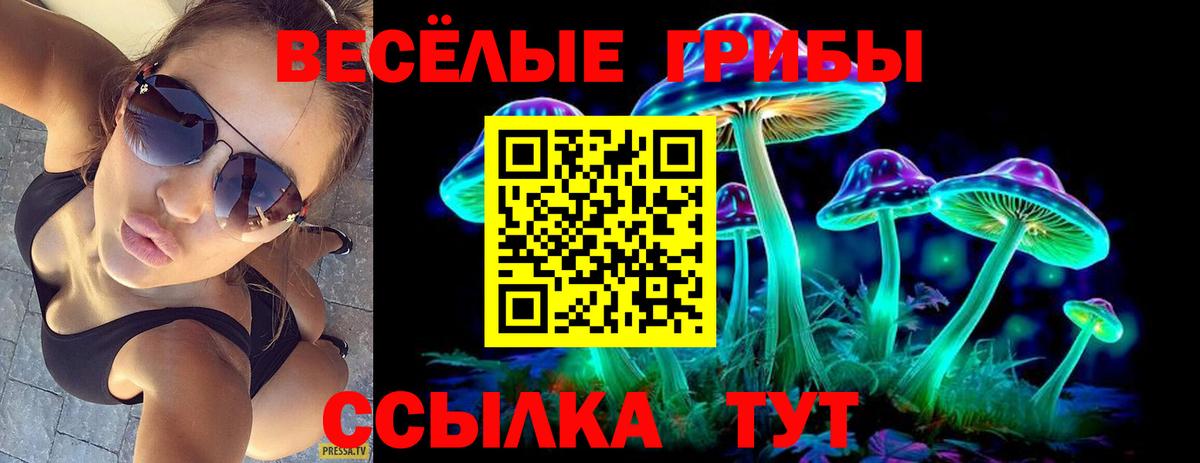 Михайловка  Галлюциногенные грибы MAGIC MUSHROOMS  Вход с VPN 