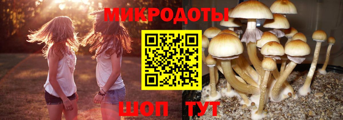 Псилоцибиновые грибы прущие грибы Михайловка